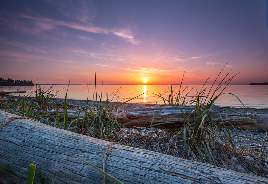 Shell Photograph - Birch bay sunset by Eti Reid