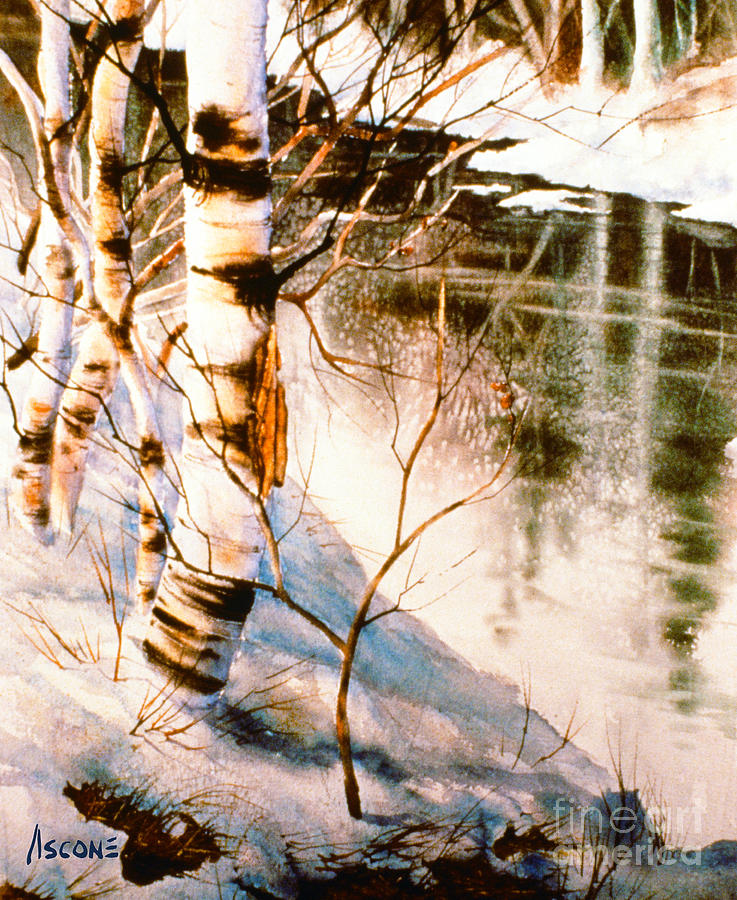 Winter Painting - Birch by Stream by Teresa Ascone