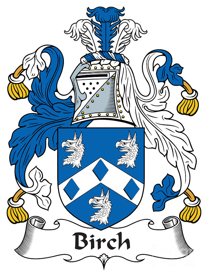 Birch Coat of Arms Irish Digital Art by Heraldry | Pixels