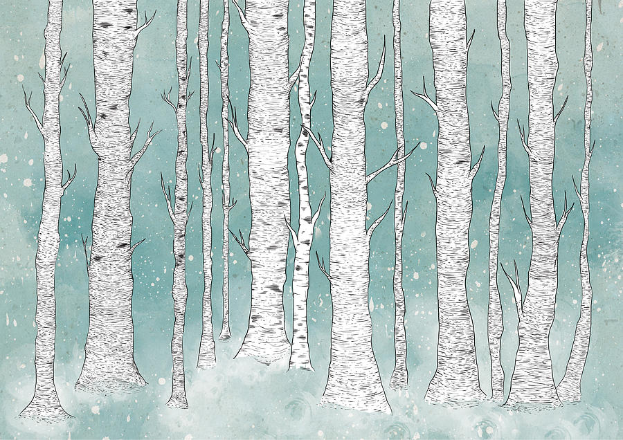 Winter Digital Art - Birch Forest by Randoms Print