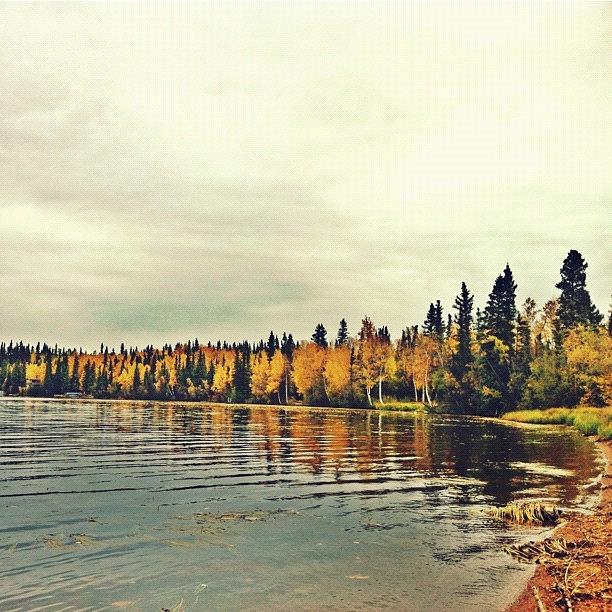 Fall Photograph - Birch Lake by Michelle Myhill