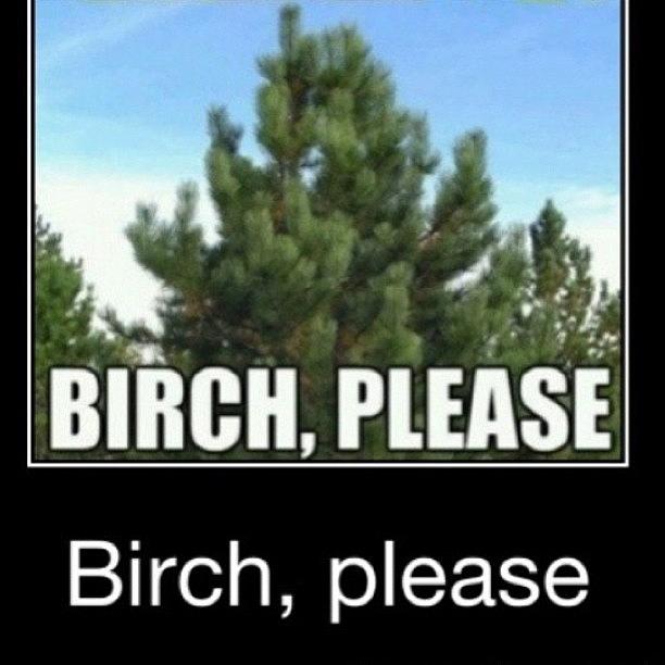 Birch Please #treeproblems Photograph by Sara Iskrzycki 