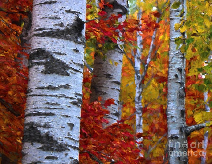 Birch Stand Autumn Photograph by Henry Kowalski