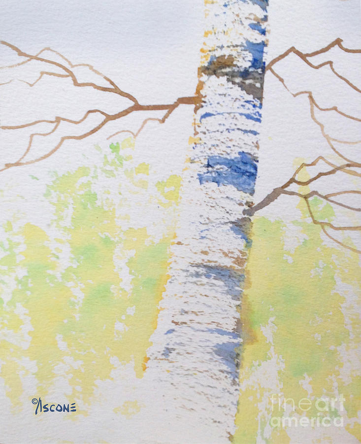 Landscape Painting - Birch Tree Impression by Teresa Ascone