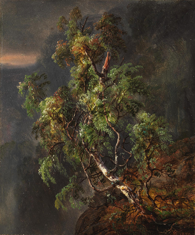 Birch Tree in a Storm Painting by Johan Christian Claussen Dahl