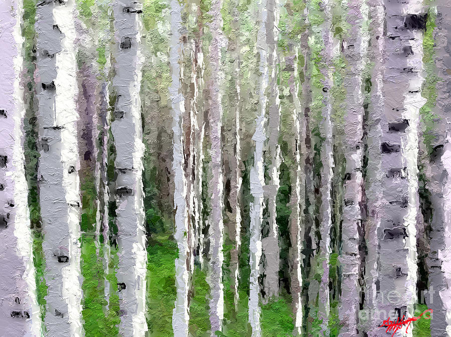 Birch trees Digital Art by Anthony Fishburne