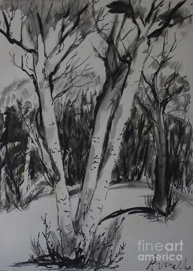 Birch Trees In Black And White Painting by Avonelle Kelsey