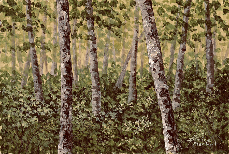 Birch Trees In Spring Painting by Darice Machel McGuire