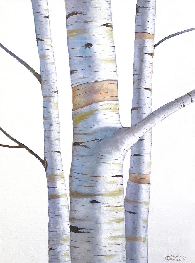 Birch Painting - Birch Trees in Three by Christopher Shellhammer