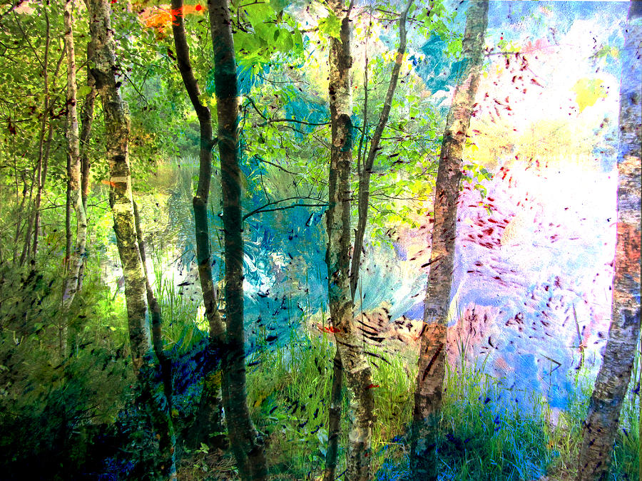 Birch Trees Lake wide and Abstract Painting Digital Art by Anita Burgermeister