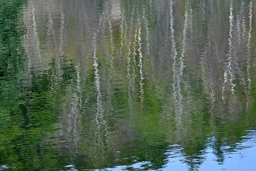 Birch Trees Reflected in Pond Photograph by Phyllis Meinke