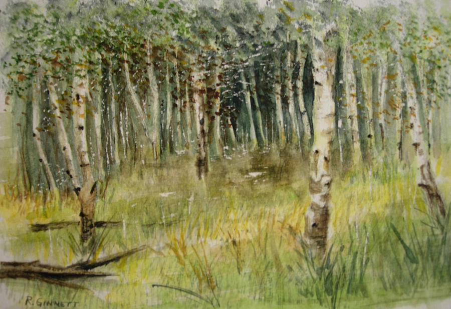 Birch Trees Painting by Richard Ginnett