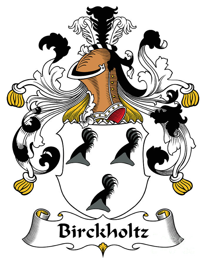 Birckholtz Coat of Arms German Digital Art by Heraldry - Fine Art America