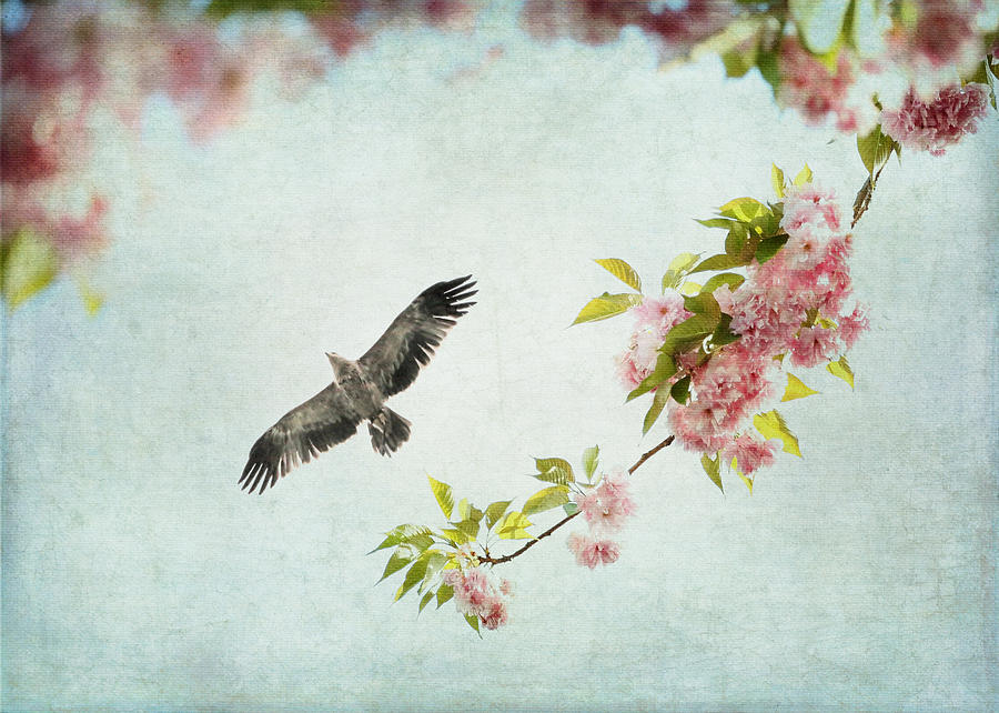 Bird and Pink and Green Flowering Branch on Blue Photograph by Brooke T Ryan