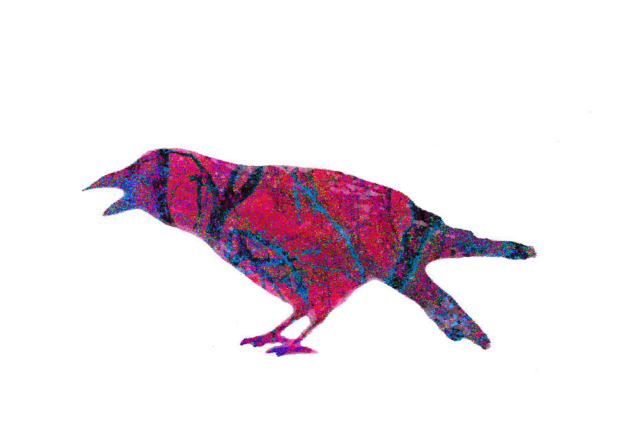 Bird Digital Art by Ann Powell