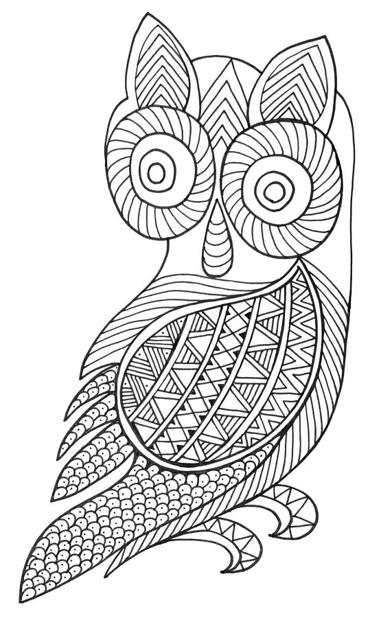 Bird Baby Owl Drawing by MGL Meiklejohn Graphics Licensing