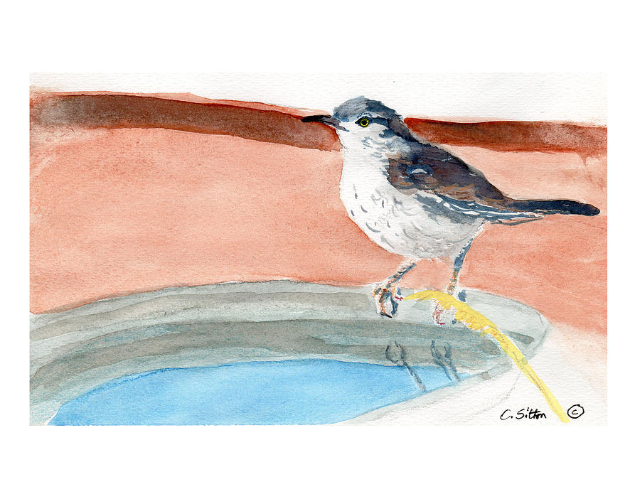 Bird Bath Painting by C Sitton