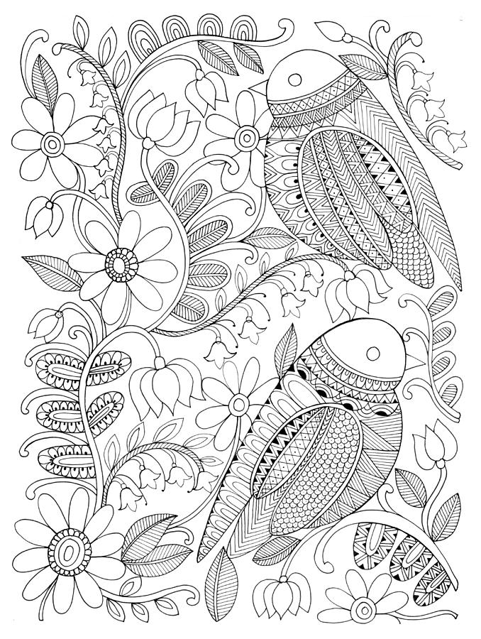 Bird Birds 1 Drawing by MGL Meiklejohn Graphics Licensing