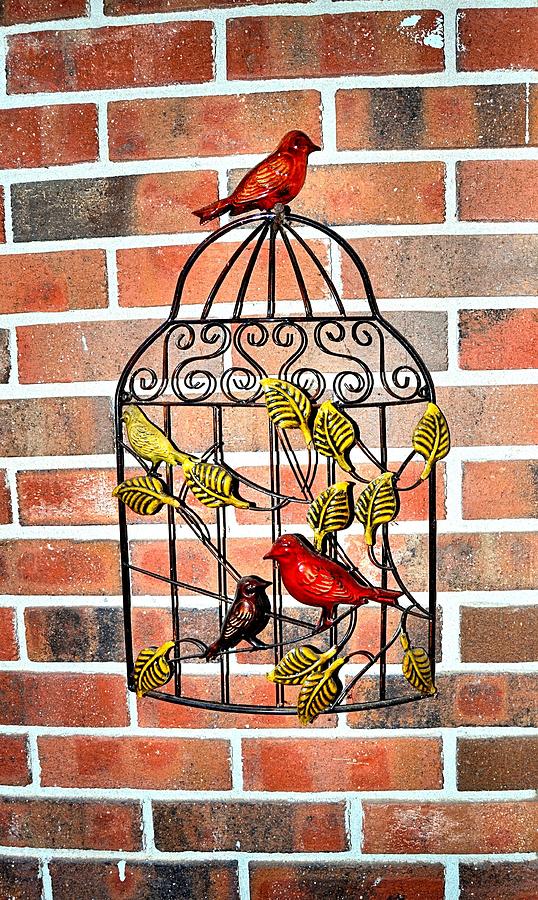 Bird Photograph - Bird Cage Decor by James Potts