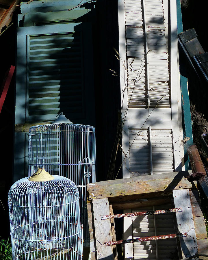 Bird Cages and Shutters Photograph by Carl Sheffer