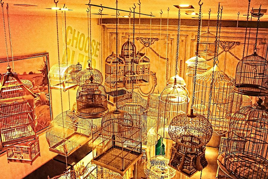 Bird Cages Digital Art by Susan Stone