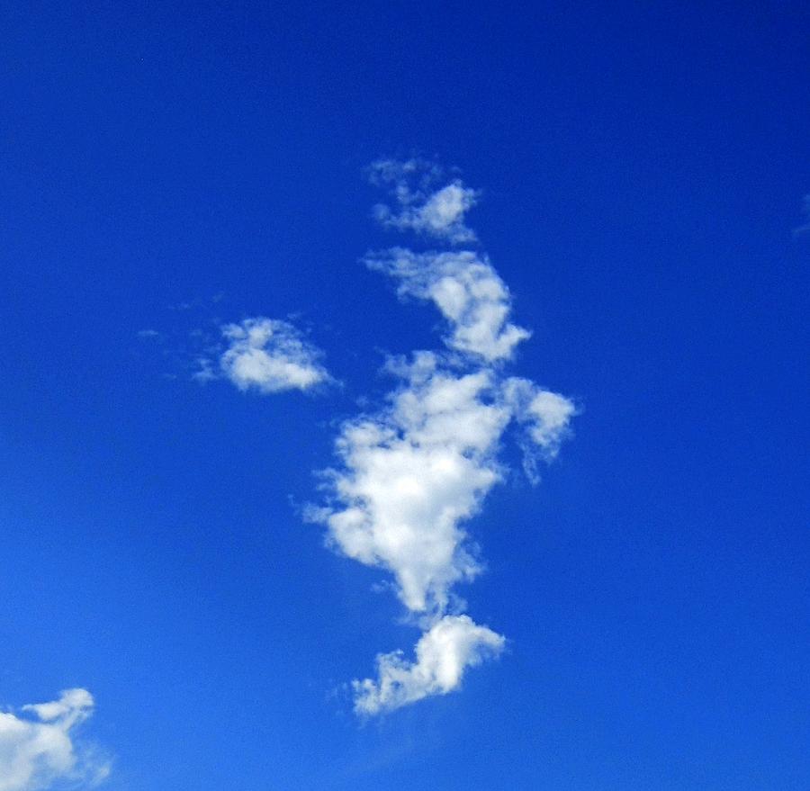 Bird Cloud Photograph by Dan Twyman
