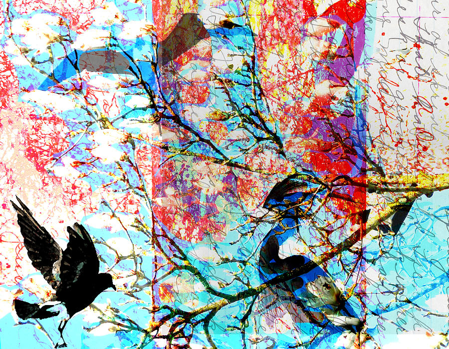 Bird Collage Digital Art by Cathy Anderson