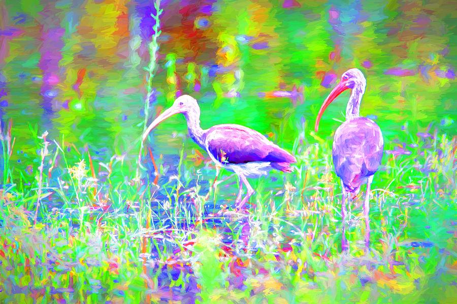 Bird Colors Photograph by Alice Gipson