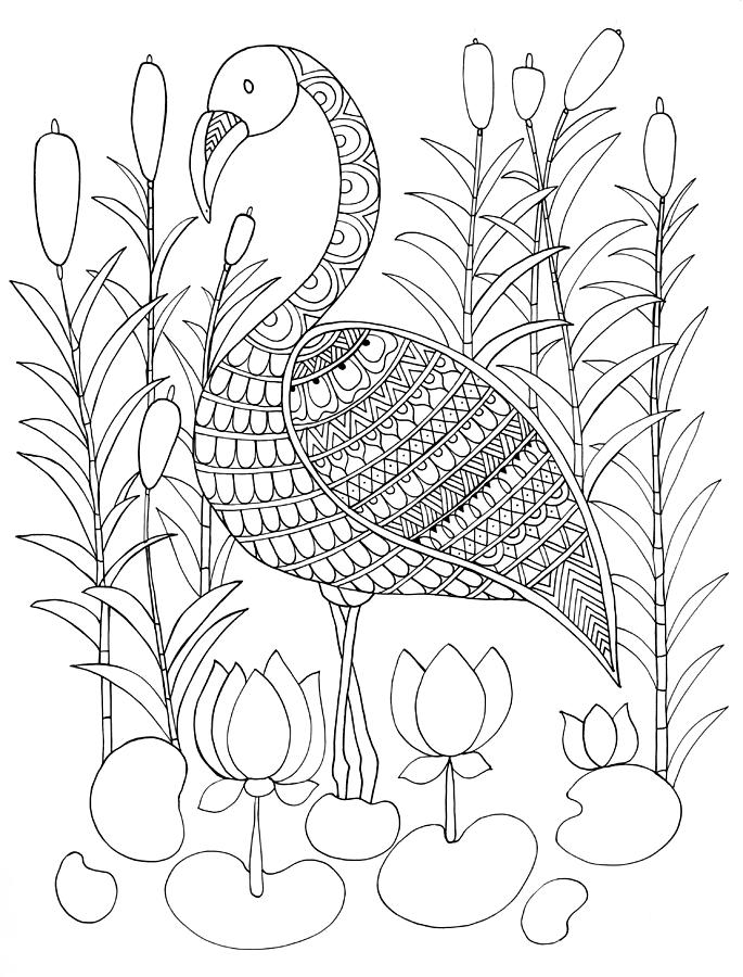 Bird Flamingo Drawing by MGL Meiklejohn Graphics Licensing