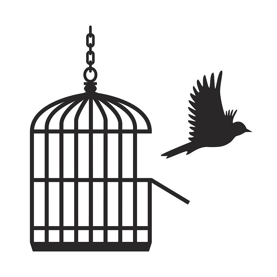 Bird flying from open birdcage - VECTOR Drawing by GeorgeManga