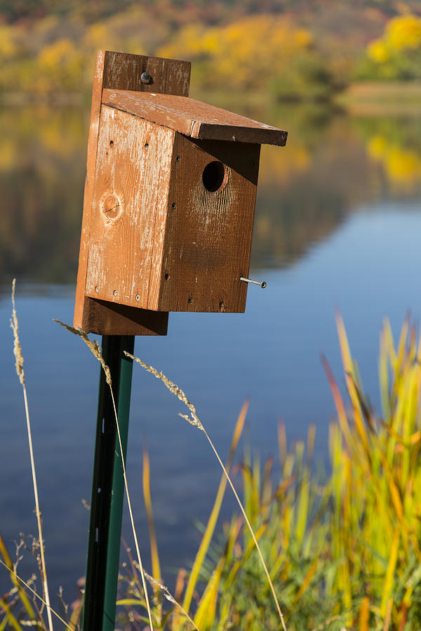 Nature Photograph - Bird House Autumn 1 by John Brueske
