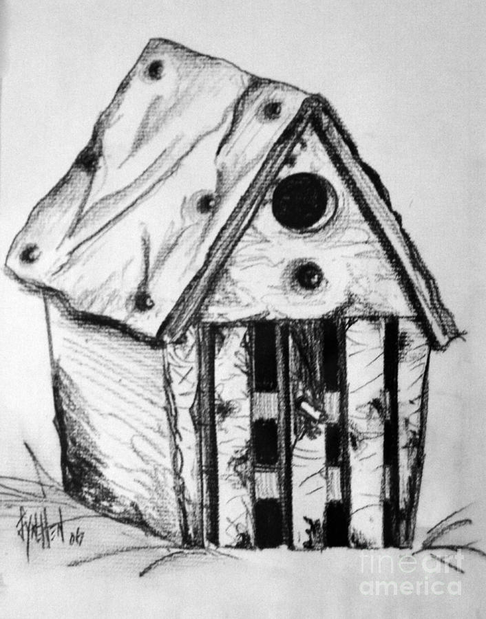 Bird House Drawing by Lynellen Nielsen