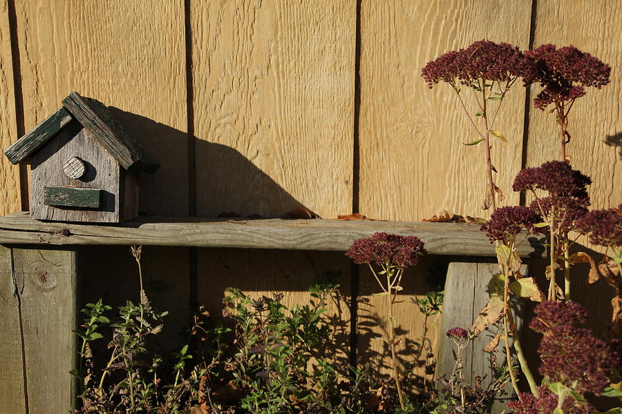 Bird House on Bench Photograph by Valerie Collins