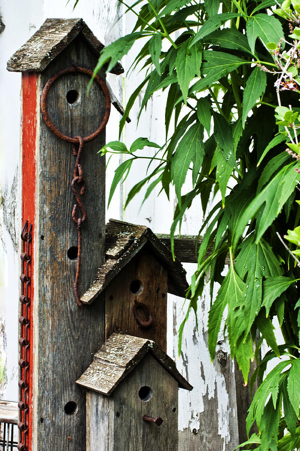 Bird House Photograph - Bird House Triplex Suite  by Sandra Foster