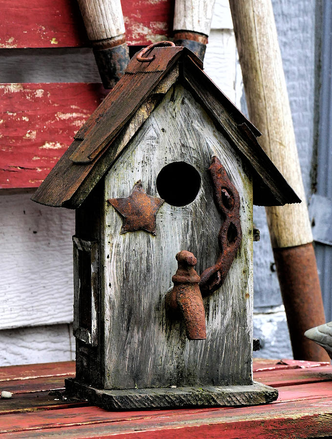 Still Life Photograph - Bird house with water by Ron Roberts