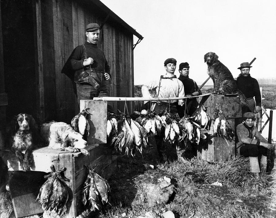 Bird Hunters And Bird Dogs 1890 Photograph by Daniel Hagerman