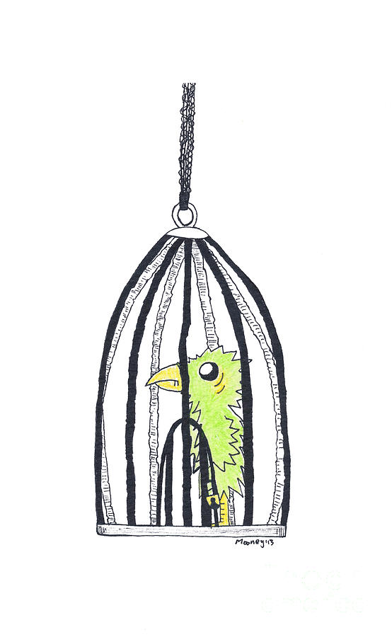 Bird In A Cage 1 Drawing