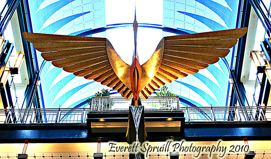 Bird in the Building Photograph by Everett Spruill