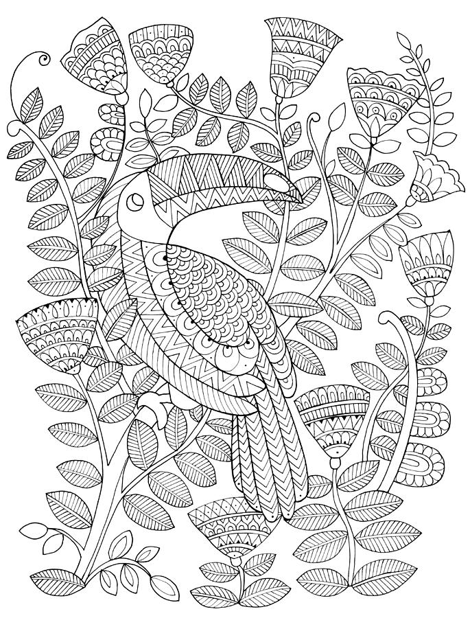 Black And White Drawing - Bird Kakatua 1 by MGL Meiklejohn Graphics Licensing