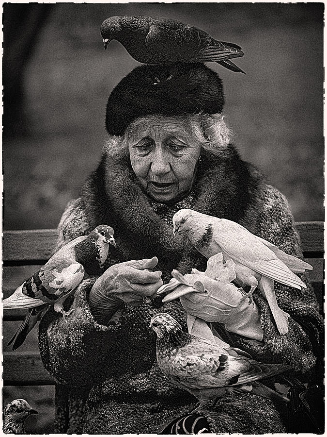 Bird Lady Of Central Park Photograph by Hal Norman K