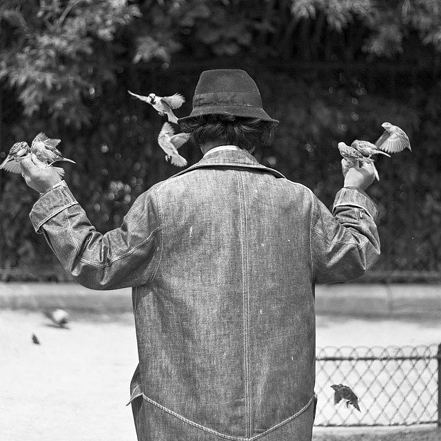 Bird Man In Paris Photograph by Georgia Clare