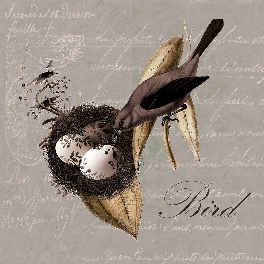 Bird Nest - 02v23c2b Digital Art by Variance Collections