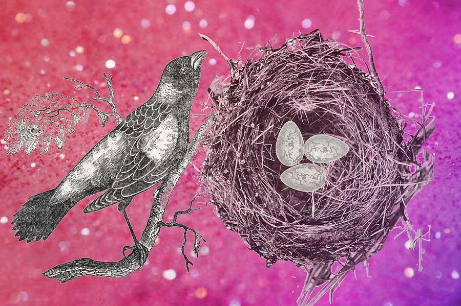 Bird Nest and Pink Glitter Photograph by Suzanne Powers