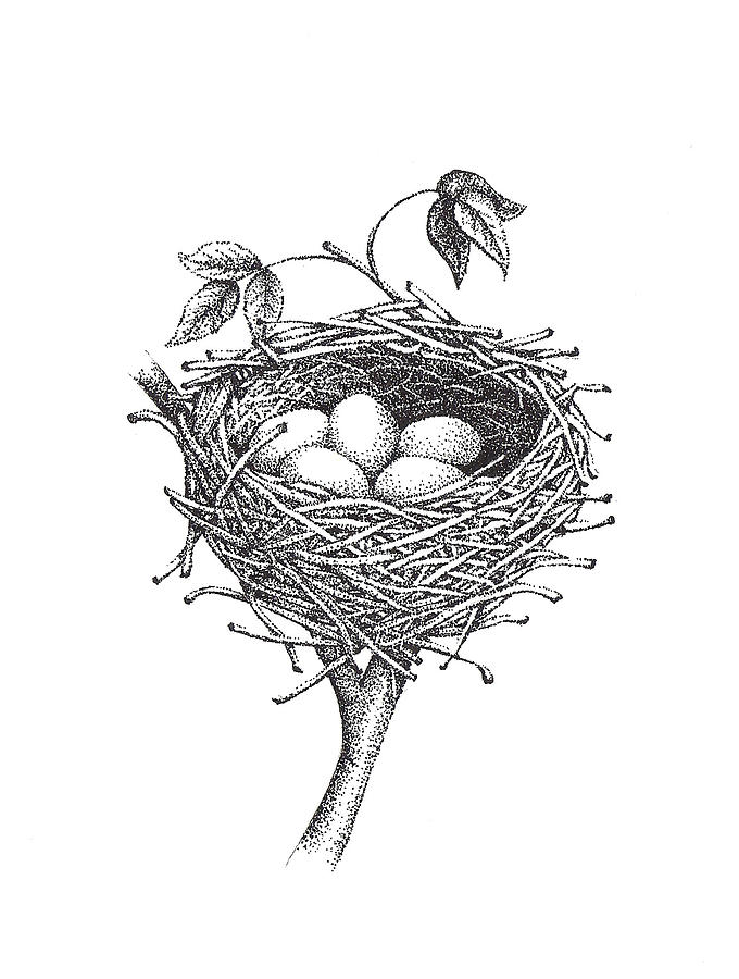 Swirly Bird Nests — KinderArt