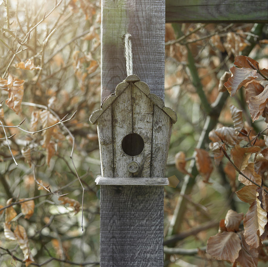 Bird Nesting Box On Post Amongst Autumn Photograph by Dougal Waters