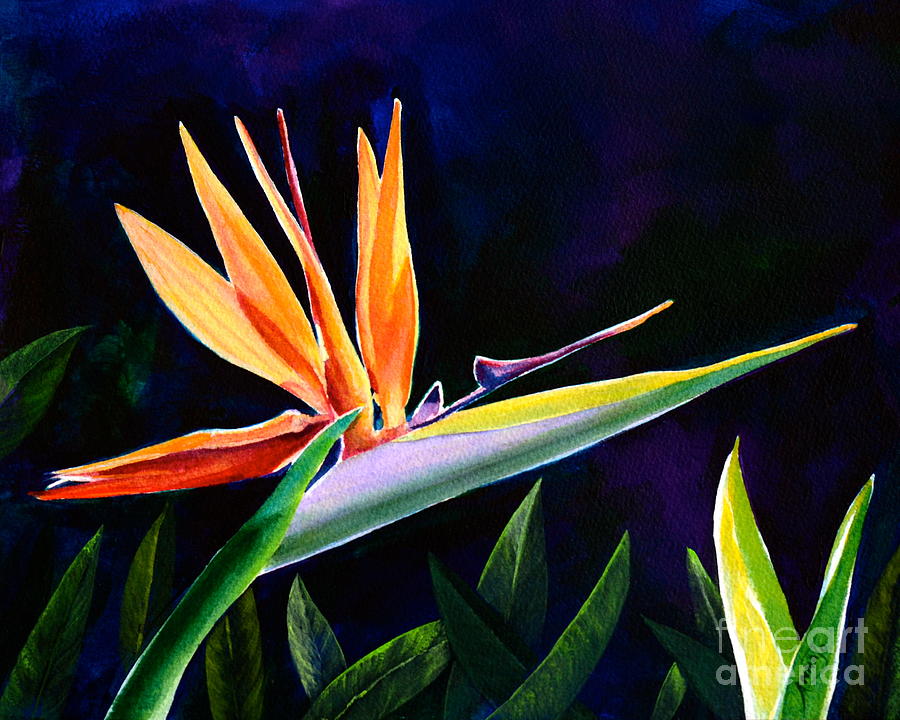 Jungle Painting - Bird of Paradise by AnnaJo Vahle