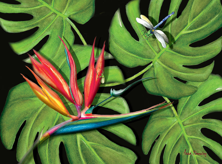 Bird of Paradise Painting by Anne Beverley-Stamps