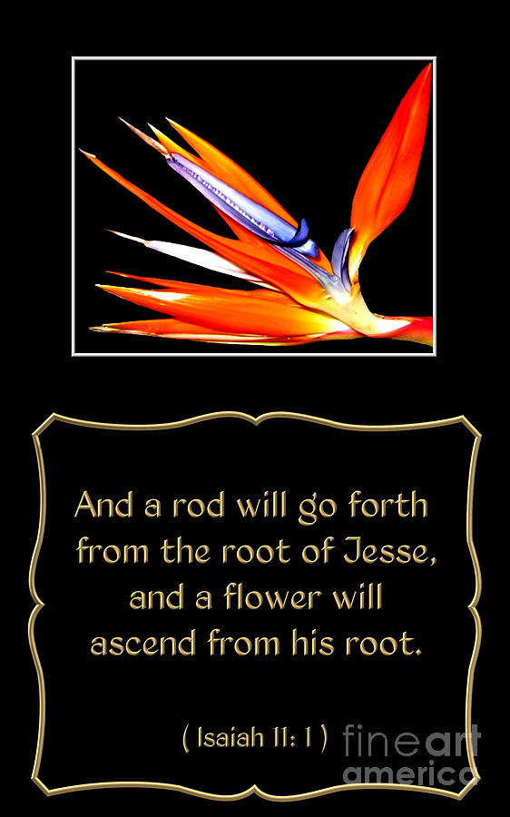 Flower Photograph - Bird of Paradise Flower with Bible Quote from Isaiah by Rose Santuci-Sofranko