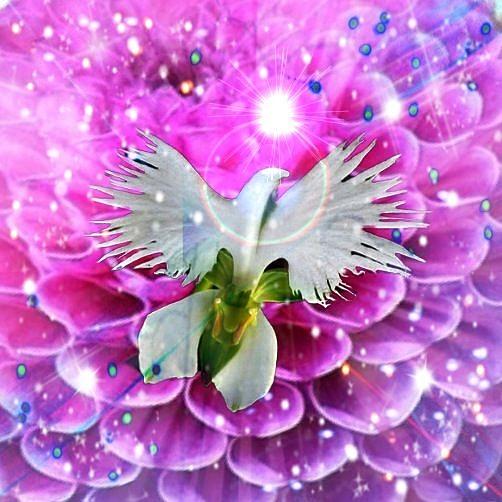 Flower Digital Art - Bird of Paradise by Karen Buford