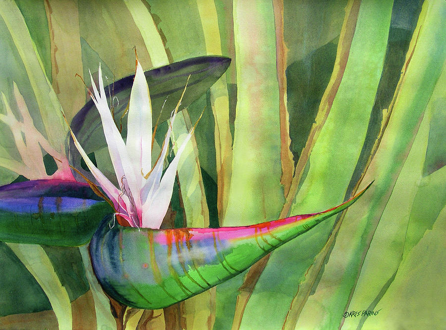Bird of Paradise Painting by Kris Parins